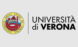 The University of Verona