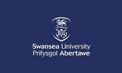 Swansea University