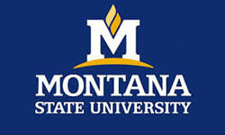 Montana State University